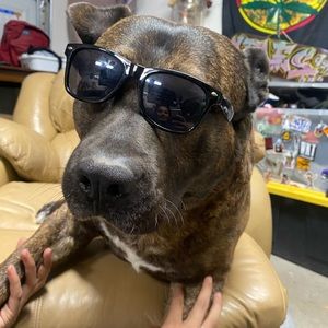 Meet your Posher, Marlene